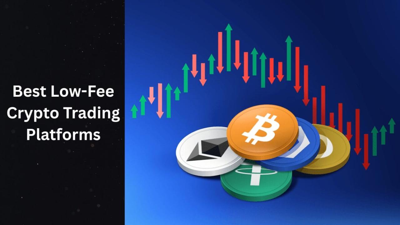 Best Crypto Trading Platforms for Beginners with Low Fees